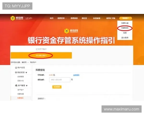 凯发竞咪百家乐充值提现流程详解确保资金安全与快速到账